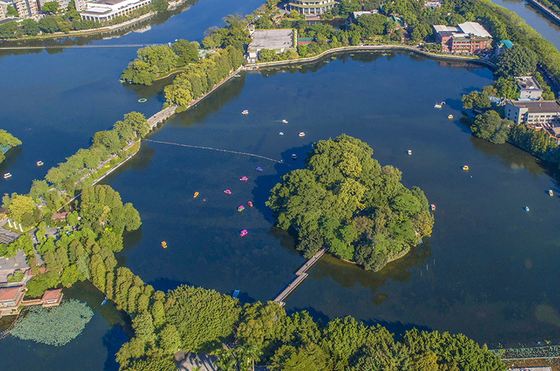60天從劣V類提升到IV類水<br />
<br />
東山湖公園是廣州市四大生態(tài)調(diào)蓄湖之一，項目自2017年9月開始實施，采用“截污控源+原位生態(tài)修復(fù)+一體化設(shè)備應(yīng)急處理”等綜合技術(shù)手段，60天從劣V類提升到IV類水。2019年項目順利驗收，現(xiàn)已進(jìn)入運維期，水質(zhì)穩(wěn)定達(dá)到地表IV類水標(biāo)準(zhǔn)。
